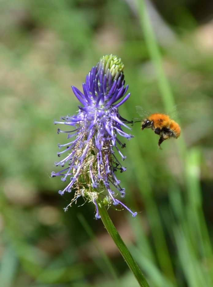 IMAGE_3BE435F3-421E-434B-8866-A35E79A8DF0A
