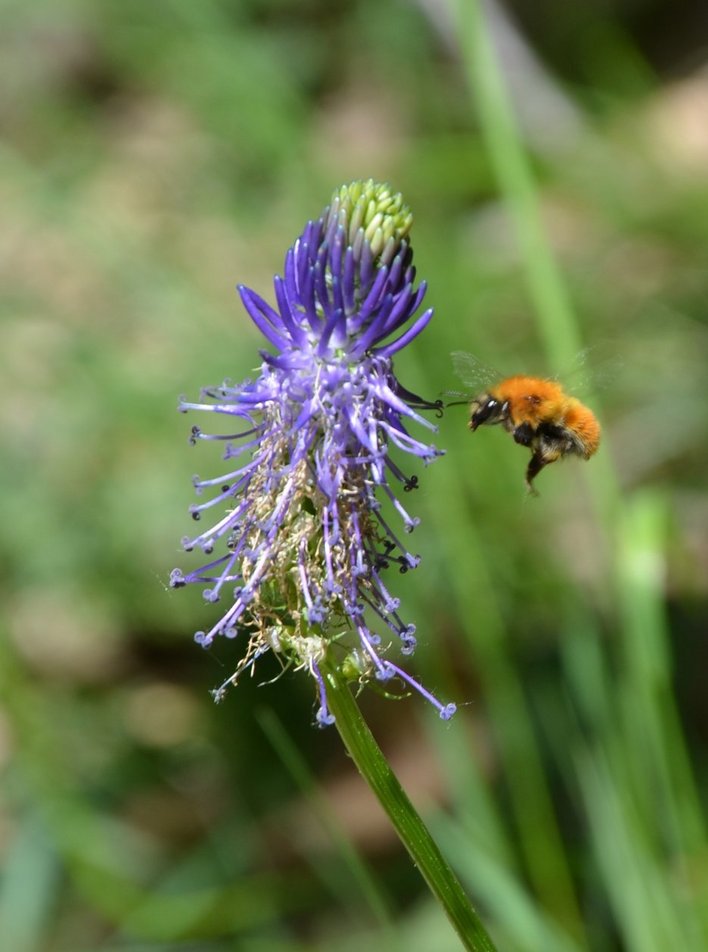 IMAGE_3BE435F3-421E-434B-8866-A35E79A8DF0A